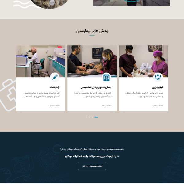 screencapture ghoghnoospethospital 2025 04 14 13 44 40